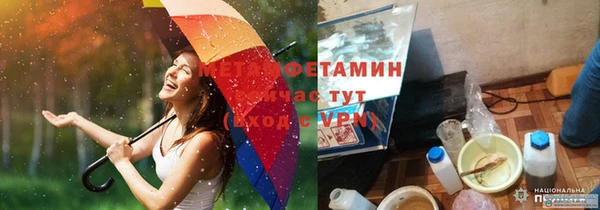 мяу мяу мука Бородино