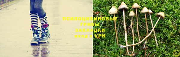 соль ск Вязьма