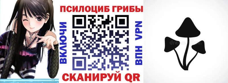 Галлюциногенные грибы мухоморы  купить   блэк спрут как зайти  Ельня 